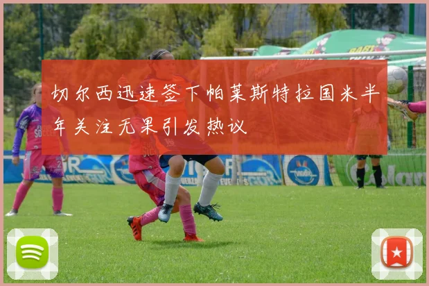 切尔西迅速签下帕莱斯特拉国米半年关注无果引发热议