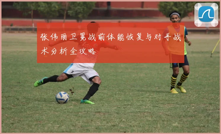 张伟丽卫冕战前体能恢复与对手战术分析全攻略